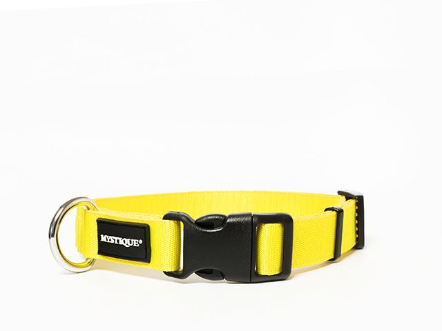 Mystique® Hundehalsband aus Nylon - 25mm-30mm