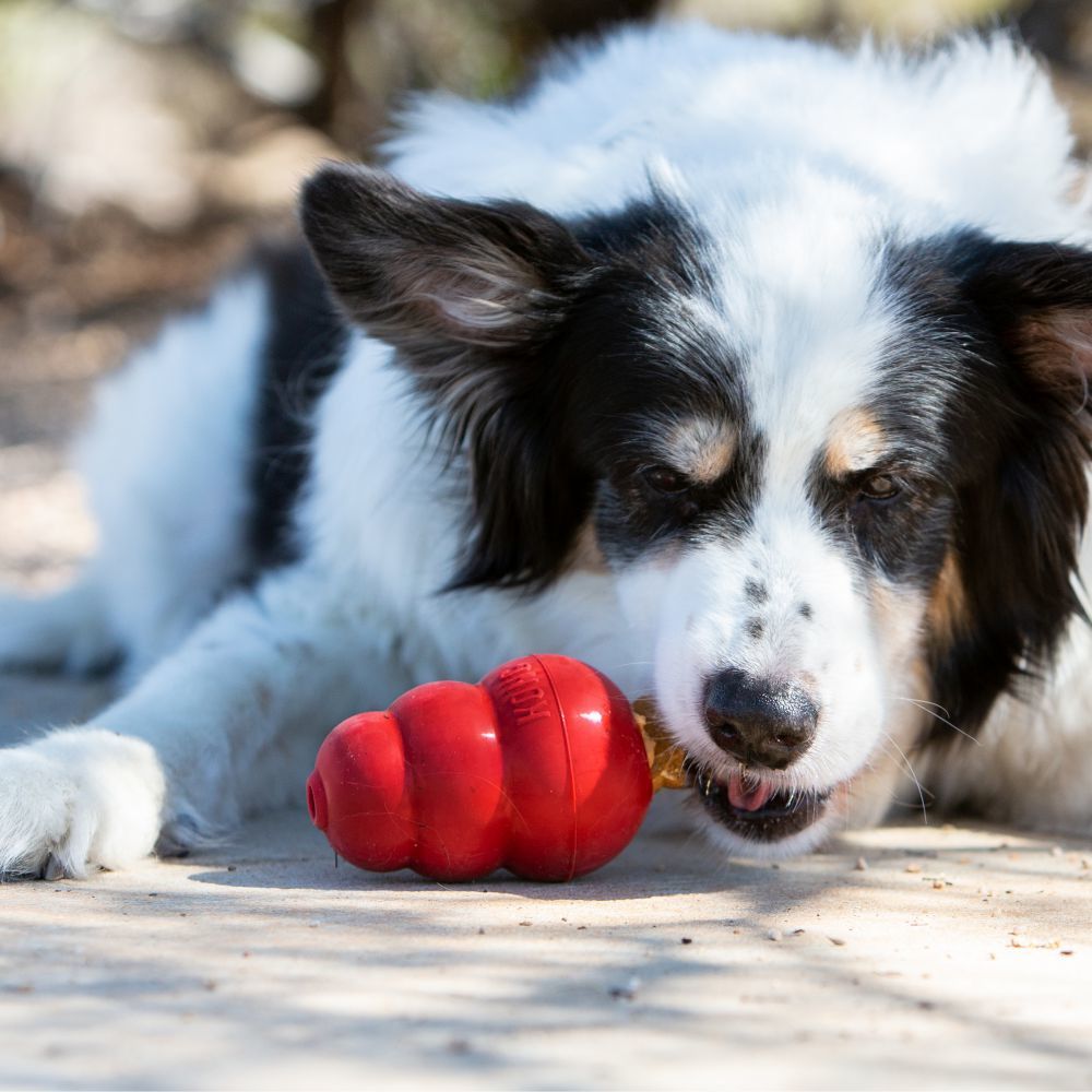 KONG Stuff'n Liver-Snacks