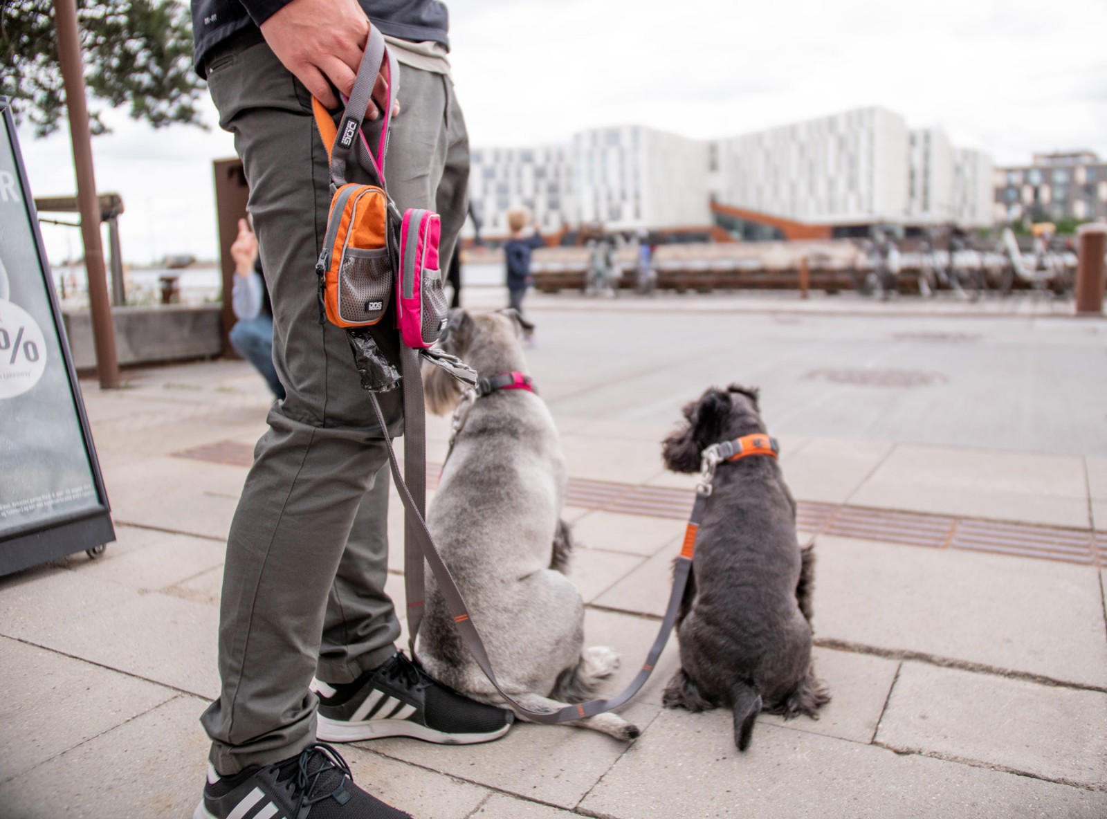 Urban Trail™ Leine von  DOG Copenhagen