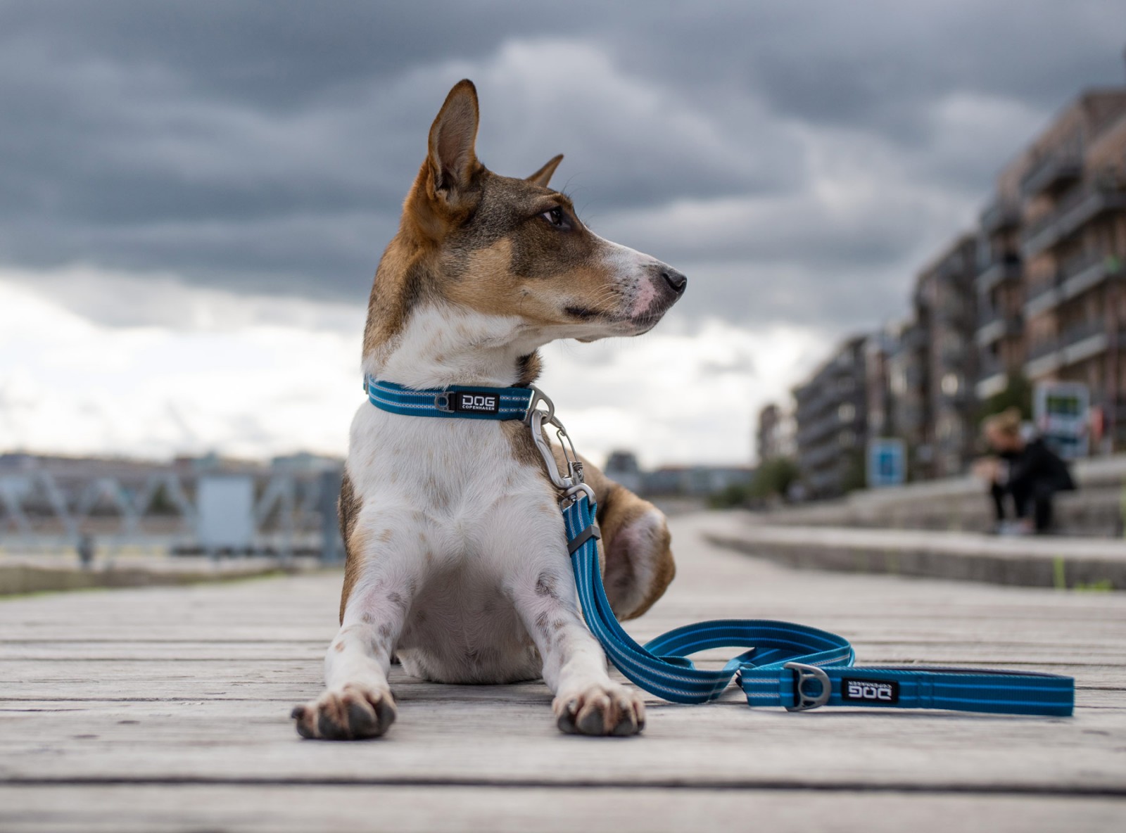 Urban Freestyle™ Leine von DOG Copenhagen