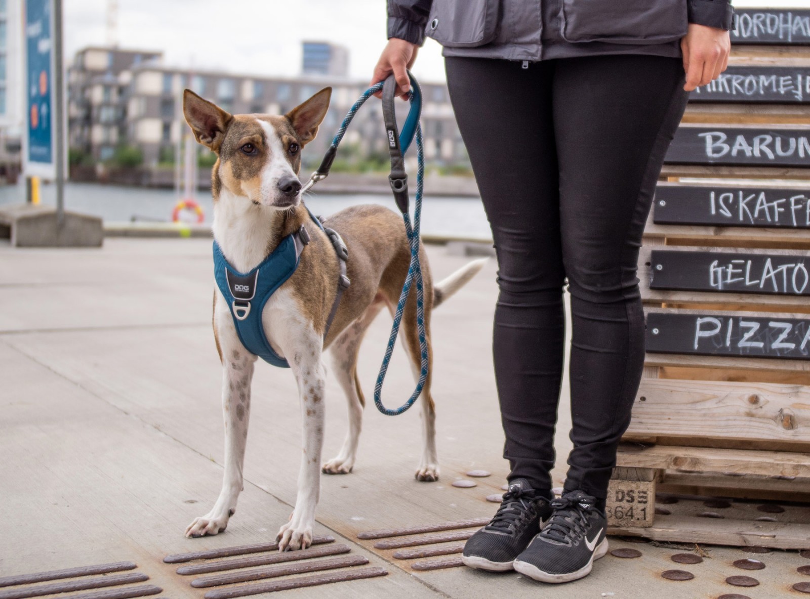 Comfort Walk Pro™ Hundegeschirr DOG Copenhagen
