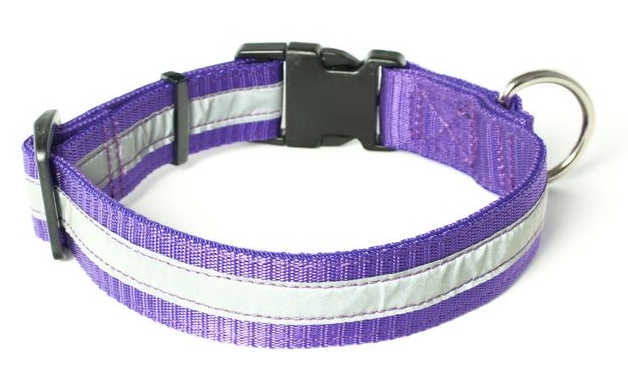 Mystique® Nylon Halsband Profi reflex Lila