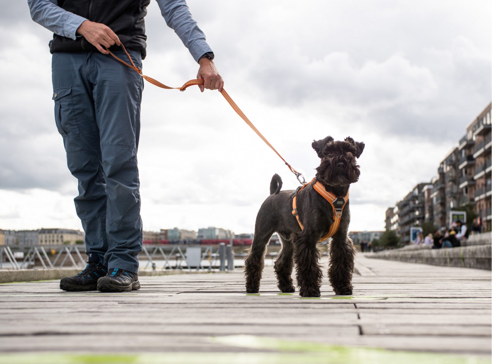 Urban Freestyle™ Leine von DOG Copenhagen