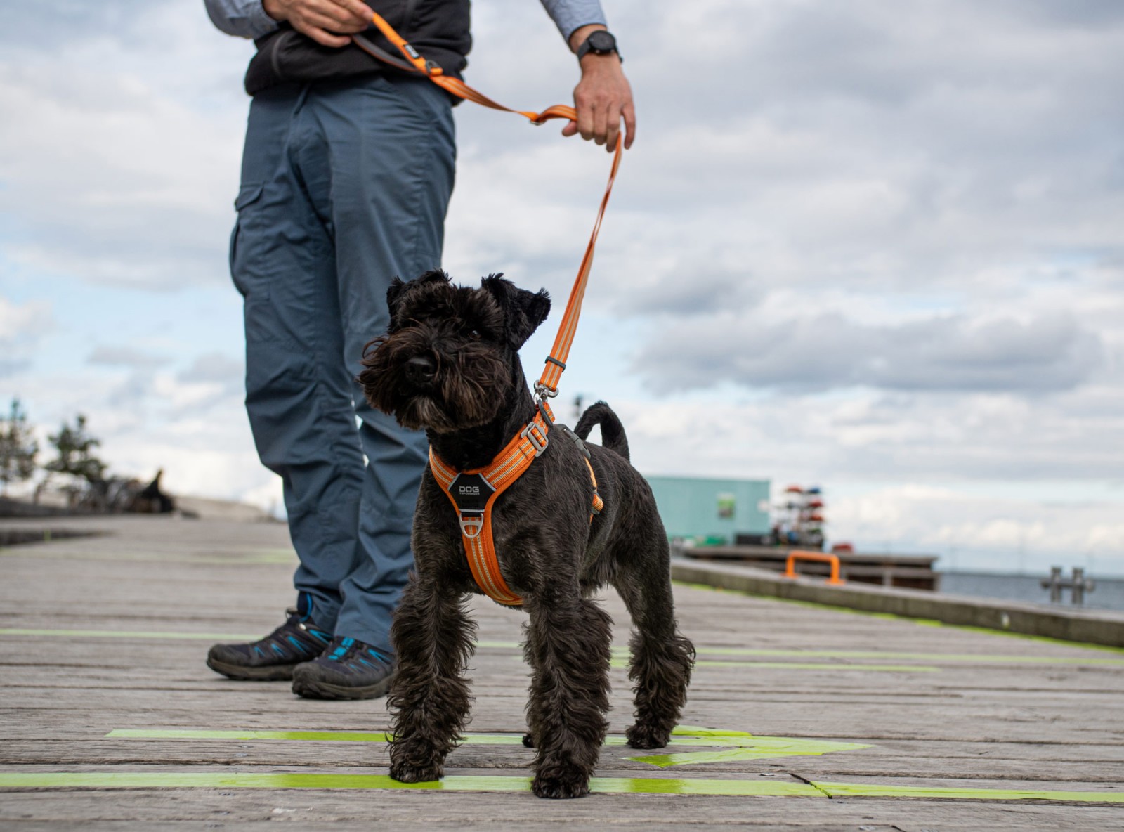 Urban Freestyle™ Leine von DOG Copenhagen