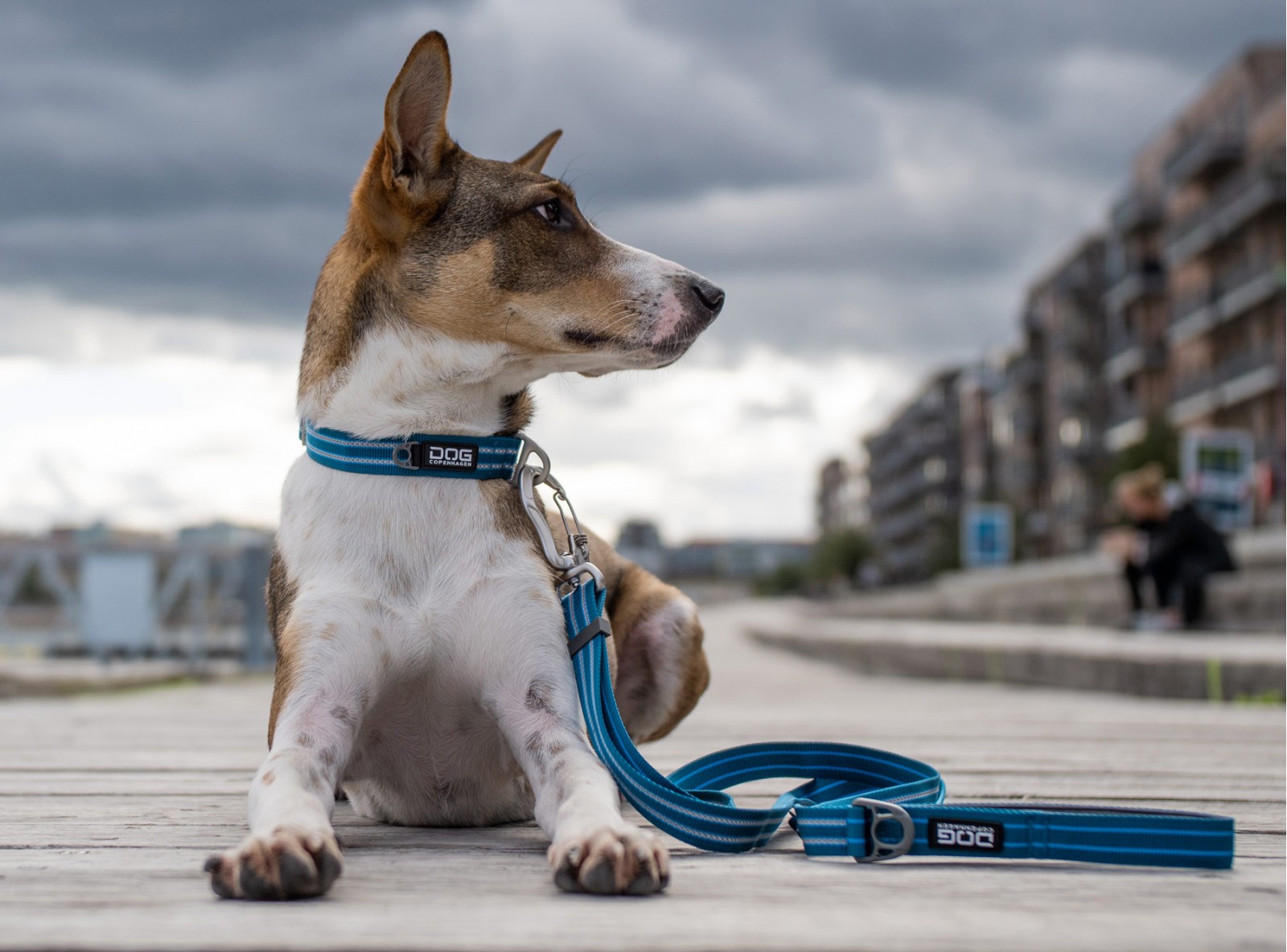 Urban Style™ Halsband von DOG Copenhagen