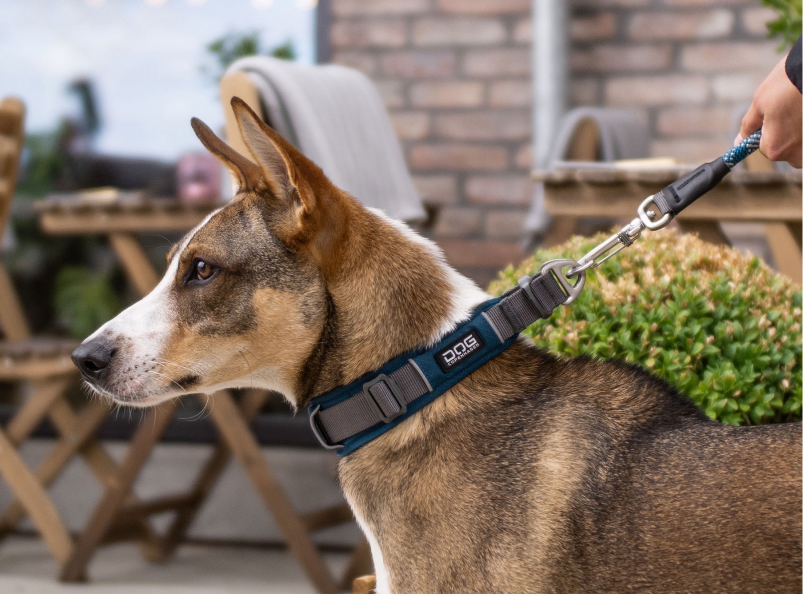 Urban Explorer™ Halsband von DOG Copenhagen