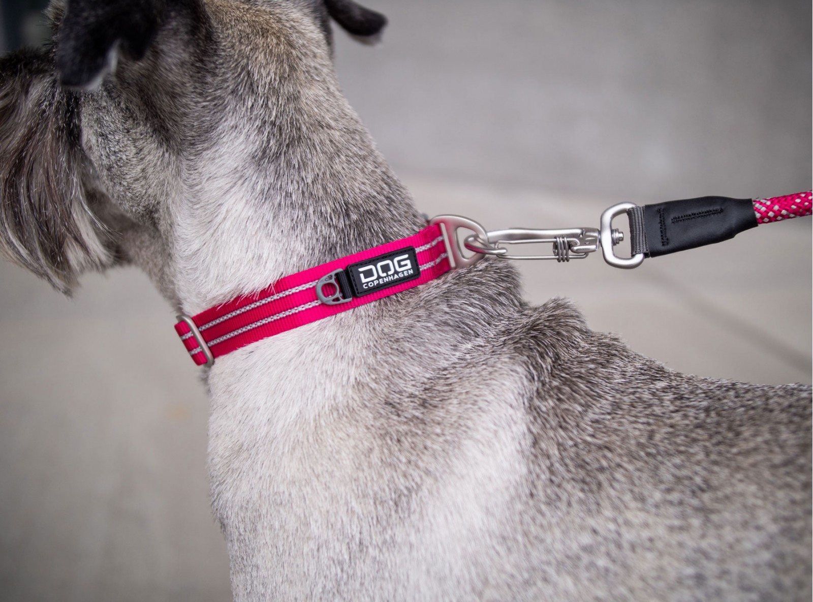 Urban Style™ Halsband von DOG Copenhagen