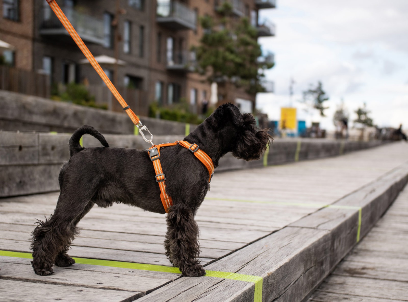 Urban Freestyle™ Leine von DOG Copenhagen