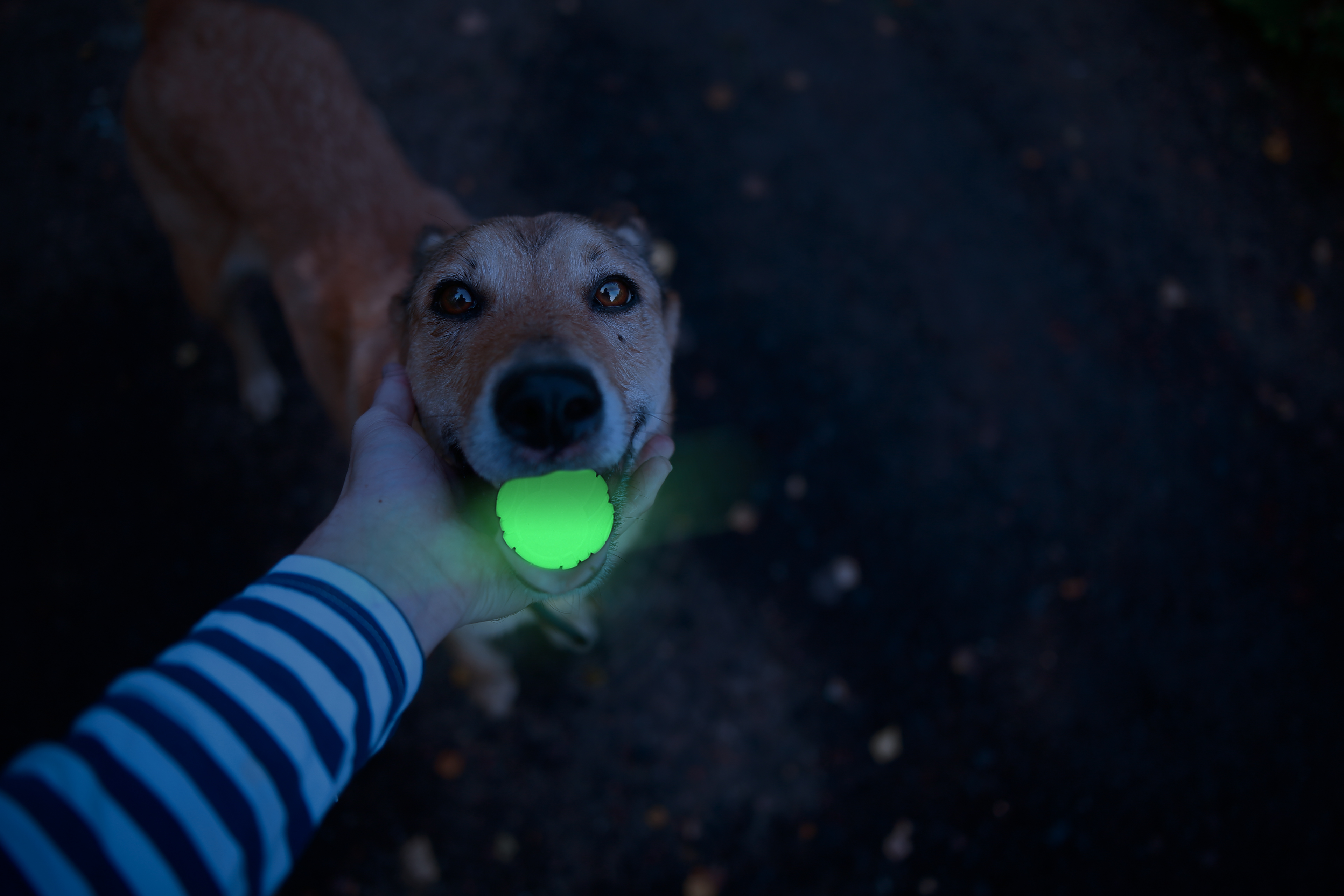 2 Glow Fetch and catch 2 match