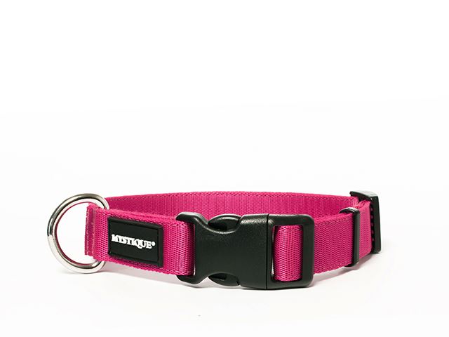 Mystique® Hundehalsband aus Nylon - 25mm-30mm
