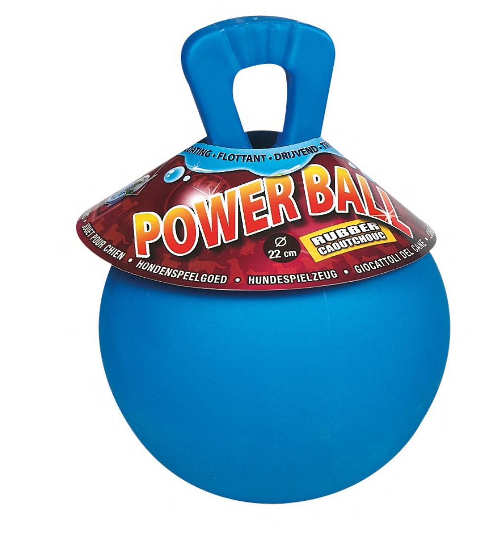 Power Ball Hundeball
